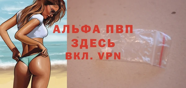PSILOCYBIN Гусиноозёрск