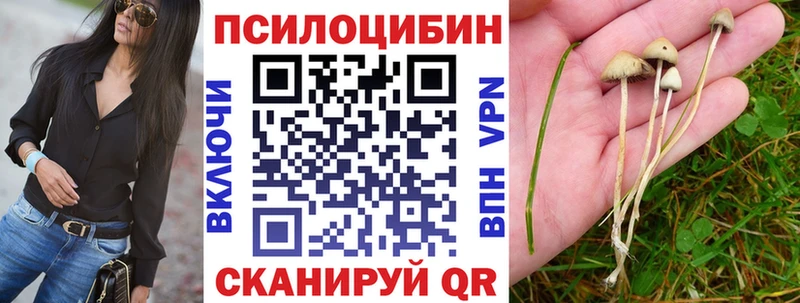 Галлюциногенные грибы Psilocybine cubensis МЕГА ССЫЛКА Пикалёво